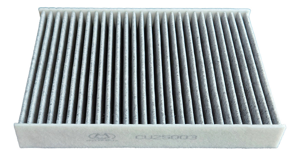 Filtro Polen Para Nissan X-trail T32 2.5 2015-2022